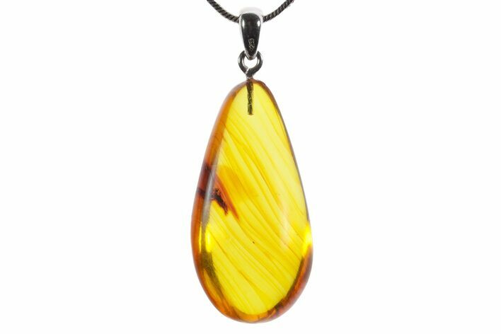 Polished Baltic Amber Pendant (Necklace) - Contains Wasp! #352968